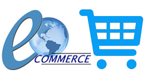 E-Commerce Website Development in Raipur