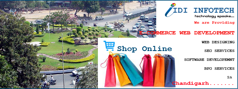 E-Commerce Web Development in Chandigarh