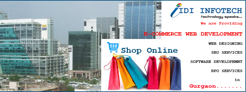 E-Commerce Web Development in Gurgaon