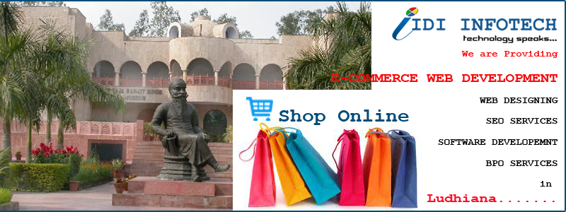 E-Commerce Web Development in Ludhiana