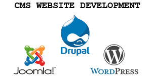 CMS Website Development in Chennai