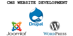 CMS Website Development in Bangalore