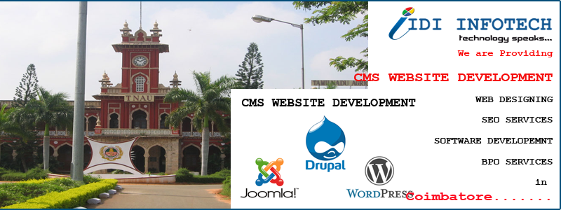 CMS Website Development in Coimbatore