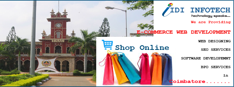 E-Commerce Web Development in Coimbatore