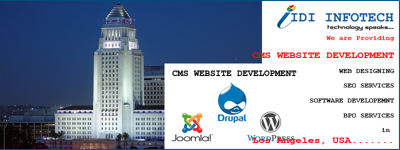 CMS Website Development in Los Angeles