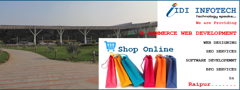 E-Commerce Web Development in Raipur