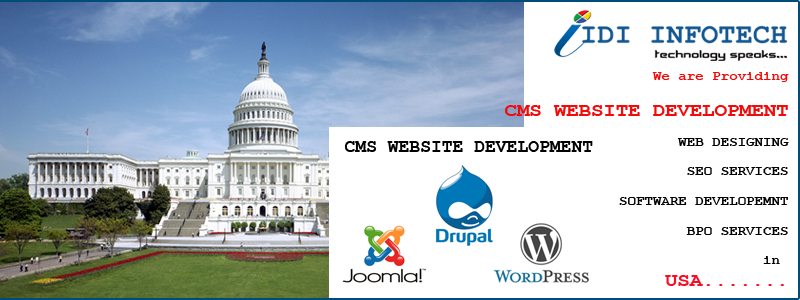 CMS Website Development in USA