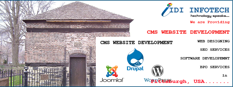 CMS Website Development in Pittsburgh